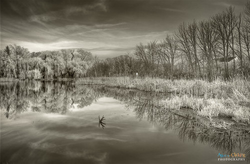trees sunset bw lake reflection water illinois interestingness spring explore willow forestpreserve lakewood weepingwillow hdr lakecounty explored millenniumtrail lcpfd