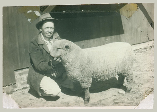 Man and sheep