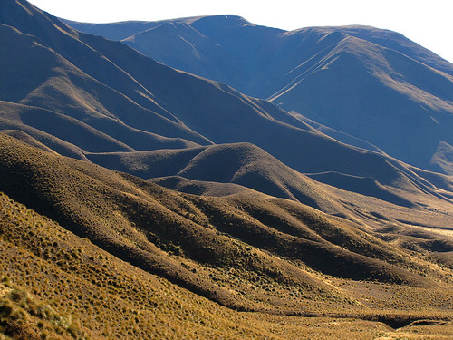newzealand landscape lindispass