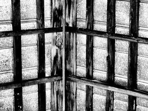 wood roof blackandwhite bw white black texture metal barn contrast grid nc pattern northcarolina raleigh ceiling duotone chrysti historicoakviewcountypark christyhydeck