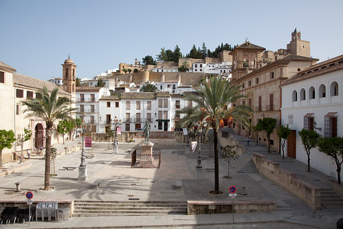 city tree square spain andalucia palm plein antequera spanje andalusie palmboom 2011
