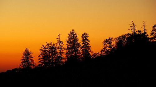 sunset tree twilight pentax ufraw smigol pentaxk10d justpentax smcpda50135mmf28edifsdm henrycoesp stephenmigol
