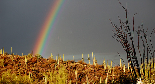 arizona storm color nature yard hope rainbow tucson sonoran