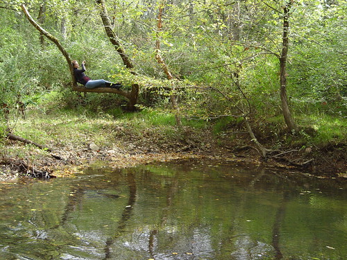 trees woman reflection green water creek branch sitting alabama bank hazel trunk