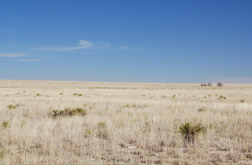 newmexico prairie elida highplains rooseveltcounty shortgrass