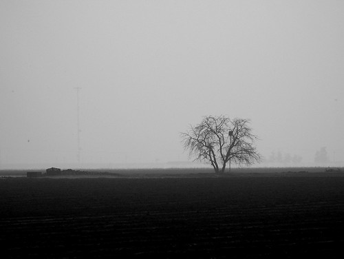 california blackandwhite bw usa fog clouds landscape i5 bakersfield grapevine centralvalley hwy5 special1