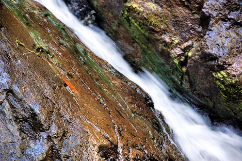 creek photo waterfall canyon riparian clevelandnationalforest holyjimtrail