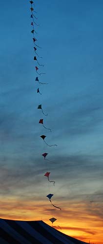 sunset canada field festival fun wind kites saskatchewan swiftcurrent windscape kitetrain