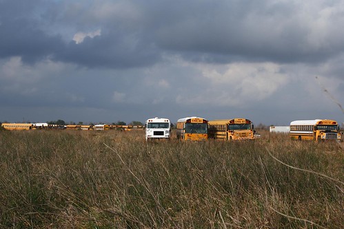 buses field geotagged texas unitedstates schoolbus i10 winnie monroecity geo:lat=2983378490 geo:lon=9452136218