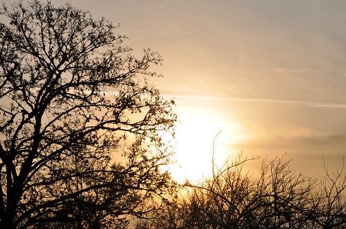 park sunset sun tree nature photography nikon nikkor شمس corvallis عشق جمال تصوير d90 منظر فجر طبيعة شروق جو هدوء شجر ضوئي نايكون ضلال خلابة arkawe بزوغ رمانسية تصويرفوتوغرافي نايكور 80mm105mm