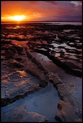 seaweed clouds sunrise rocks australia nsw refelctions jervisbay rockpool shoalhaven vincentia djgr