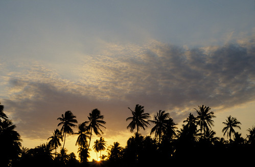 africa sunset sky cloud sun film geotagged tanzania dusk palmtree zanzibar sunbeam ★ lightzone geo:lat=598349347 geo:lon=3937701166 geoafrica 0tagged set:name=199708tanzania