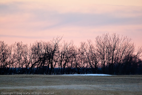 sunset snow canada landscape paisaje alberta puestadesol ocaso canadá kanada solnedgång landskap