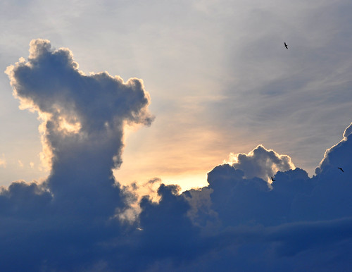 sunset sky birds clouds fly al alabama flight athensal bkhagar