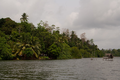 lake sri lanka jungle srilanka ganga madu 2010