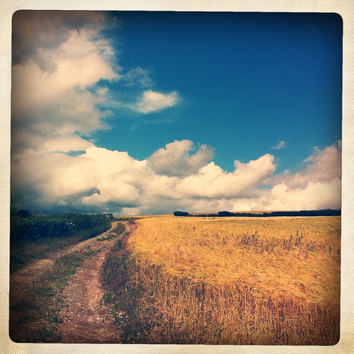 road england sky field barley clouds square landscape cornfield track devon iphone magicunicornverybest magicunicornmasterpiece hipstamatic iphonehipstamatic inas1969film alyssthomasphotography tejaslens