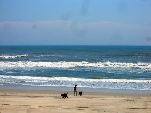 signs beach easter island surf dunes northcarolina gordon outerbanks setter ocracoke