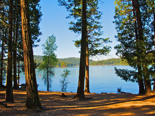 california lake landscape jenkinsonlake pollockpines nejmantowicz jenkinsonreservoir