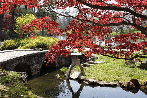 gardens japanesegarden virginia bridges richmond april 2008 redmaple maymont