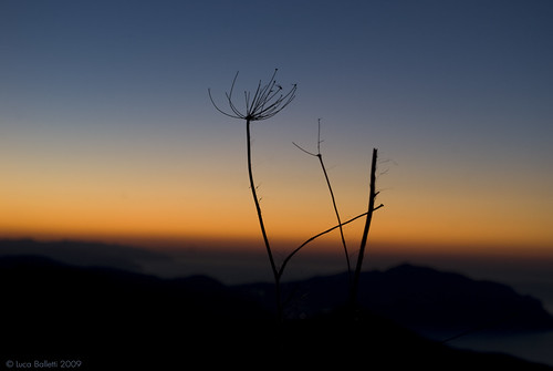 sunrise luca nikon alba genova monte d200 ramo portofino pianta fasce abigfave balletti ghesemmu soloreflex