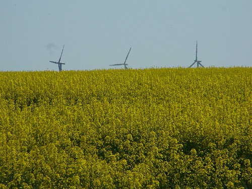 deutschland wind gelb ausflug grün brandenburg uckermark windkraft