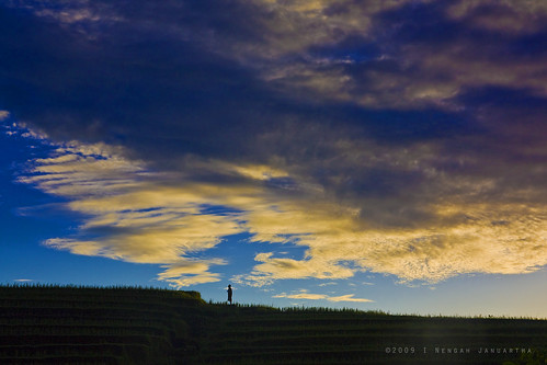 sky bali cloud color colour sunrise canon landscape blu awan ricefield tamron natue pagi sawah langit tabanan 1750mm 450d fieldofrice