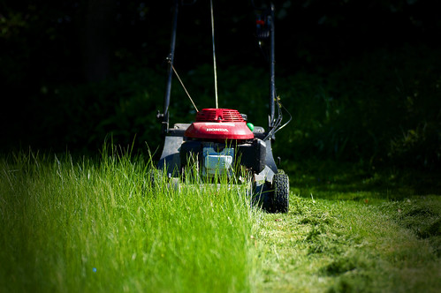 green grass honda nikon lawnmower mowing d300 bibble5