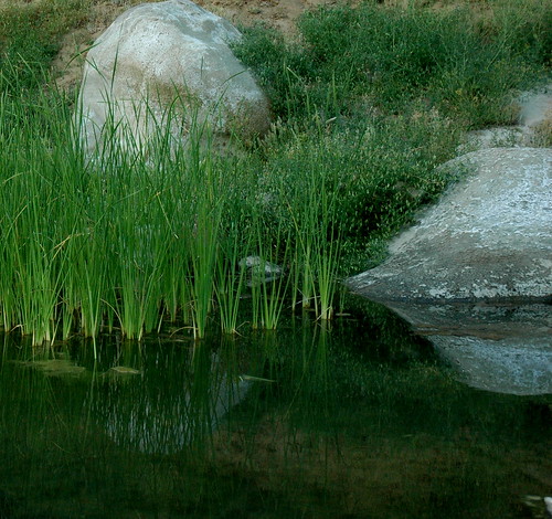 creek pond sanluisobispo franklincreek