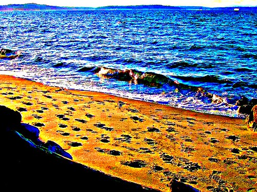 seattle blue orange usa abstract art beach water gold washington sand rocks waves stones tide footprints funky artsy driftwood fantasy alki westseattle pacificnorthwest alkibeach imagination pugetsound fairyland ferryboat