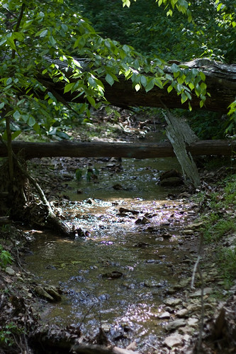 nature water creek forest outdoors hiking elizabethtown vernondouglas