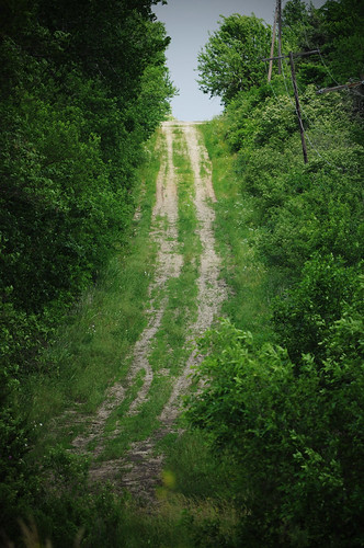 road nikon path ks country dirt trail paola gravel countryroad gravelroad d5000
