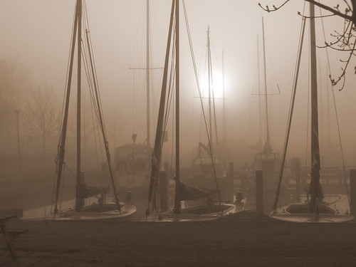 sun mist dutch fog sunrise foggy nederland thenetherlands friesland zonsopgang mistig fryslân woudsend wâldsein