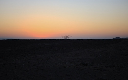 sunset tree peru desert creativecommons nazca