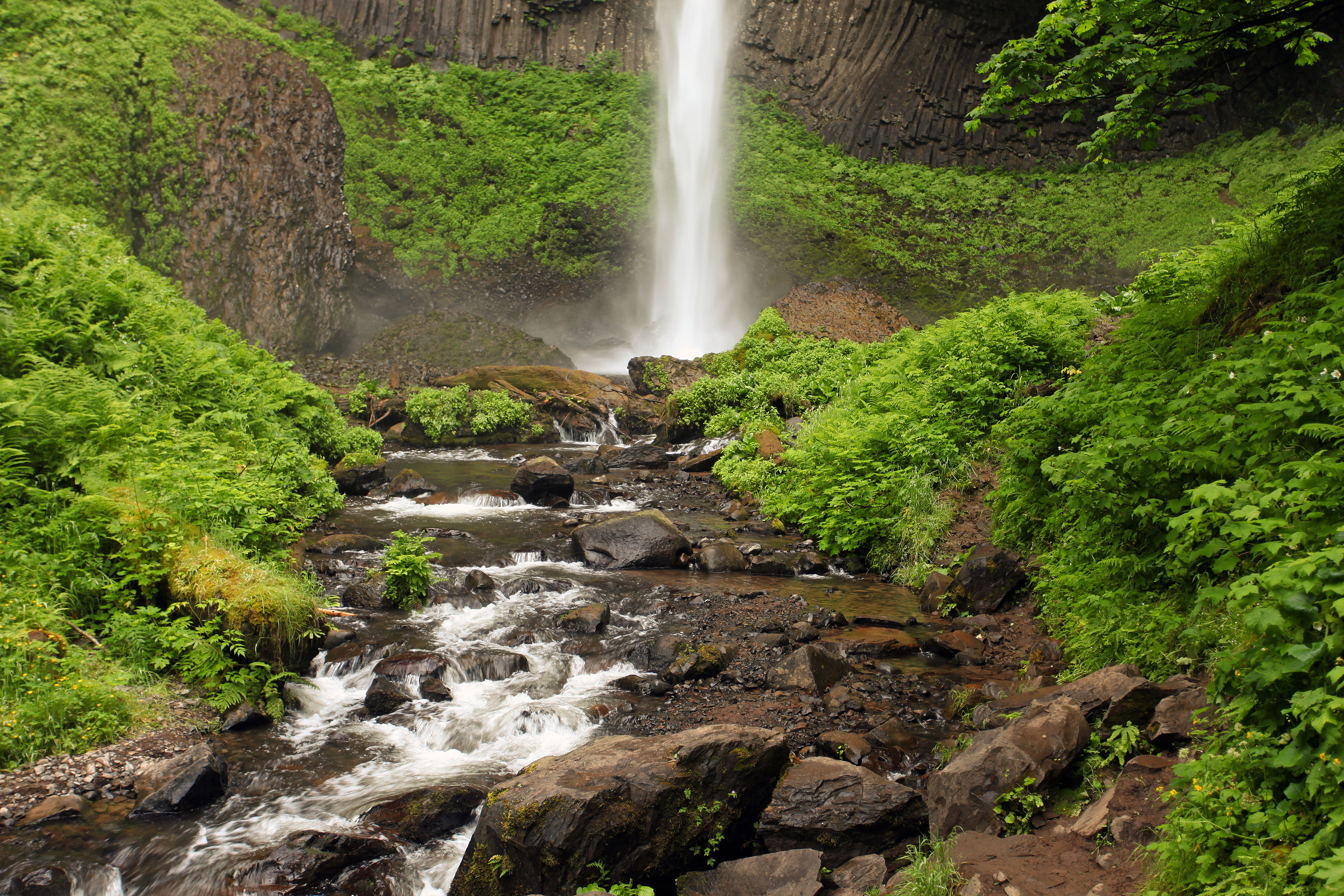 Падающие водопады. Ущелье Ванонта штат Орегон. Ущелье реки Колумбия Орегон. Водопад фей Fairy Falls, каньон реки Колумбия, Орегон. Каньон реки Колумбия.
