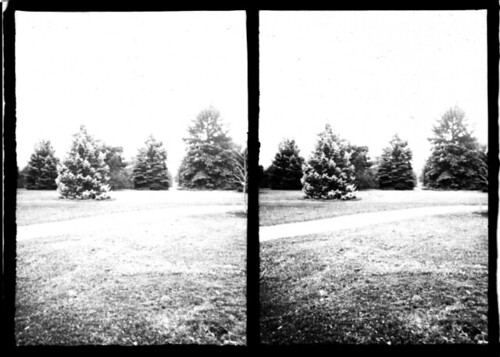 bw pinhole stereo ilford 5x7 crossview stereopinhole
