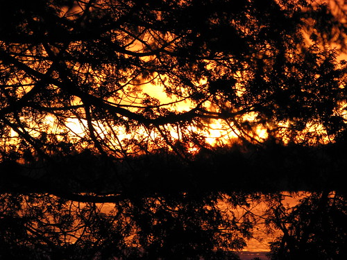 sunset lake water landscape