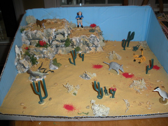 Chase's Desert Diorama | Flickr - Photo Sharing!