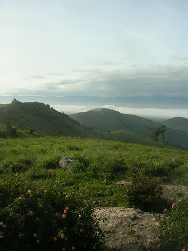 india mountains karnataka bandipur
