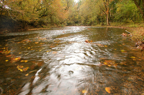 fall water river stream tennessee collins warrencounty campwoodlee