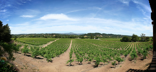 california autostitch panorama drycreek winery zichichifamilyvineyard zichichiwinery
