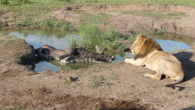 Kenya 2009