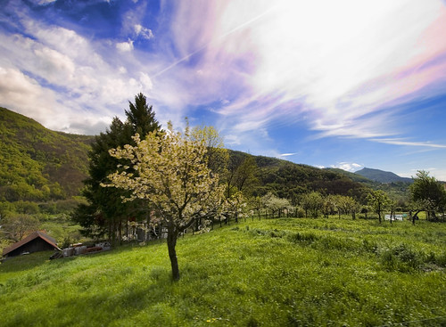 sky italy cloud tree green primavera nature landscape spring bravo italia liguria hill santolcese natureselegantshots hggt dragondaggeraward