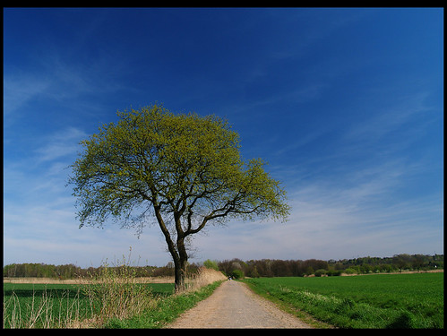 hamburg natur feld himmel wolken grün blau landschaft topf10 baum weg mywinners guessedhamburg superaplus aplusphoto flickrunitedaward