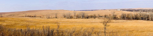 autostitch panorama nature landscape pano kansas prairie tallgrassprairienaturepreserve pentaxk20d