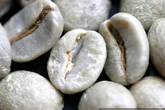 green coffee beans    MG 6742 