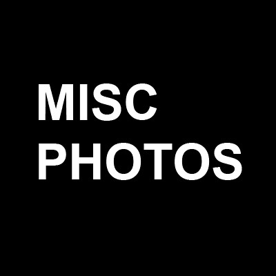Flickr Separator_Misc Photos