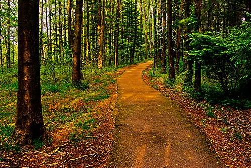 lake campus illinois woods path carbondale siuc