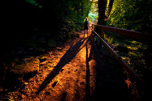 light sunset shadow people orange forest sweden dusk schweden rail sverige öland suéde svezia borgholm kalmarlan