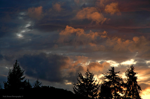 friends sunset thanks for backyard nikon d70 pacificnorthwest nicks viewing