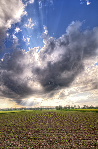 sky plants sun field clouds germany bavaria corn nikon wideangle rays hdr d300 photomatix vosplusbellesphotos